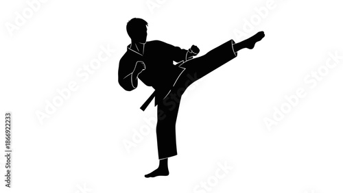Martial Artist Performing High Kick Silhouette.