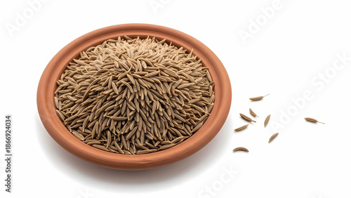 Cumin Seeds Served in a Plate — Macro Food Isolation