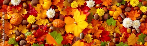 Wallpaper Mural Vibrant autumn floral collage featuring bright leaves, blossoms, gourds and pumpkins with color hue Torontodigital.ca