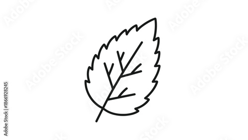 A single, detailed line drawing of a leaf with serrated edges and visible veins represents nature, growth, and organic elements.