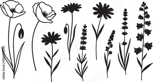 Black and white flowers illustration set