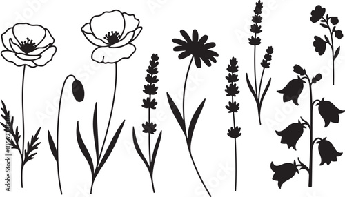 Black and white floral silhouettes of various flowers and plants