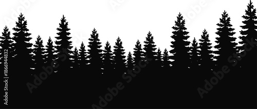 Dark pine tree forest silhouette forming dense evergreen woodland horizon, minimalist black nature landscape illustration isolated on white background