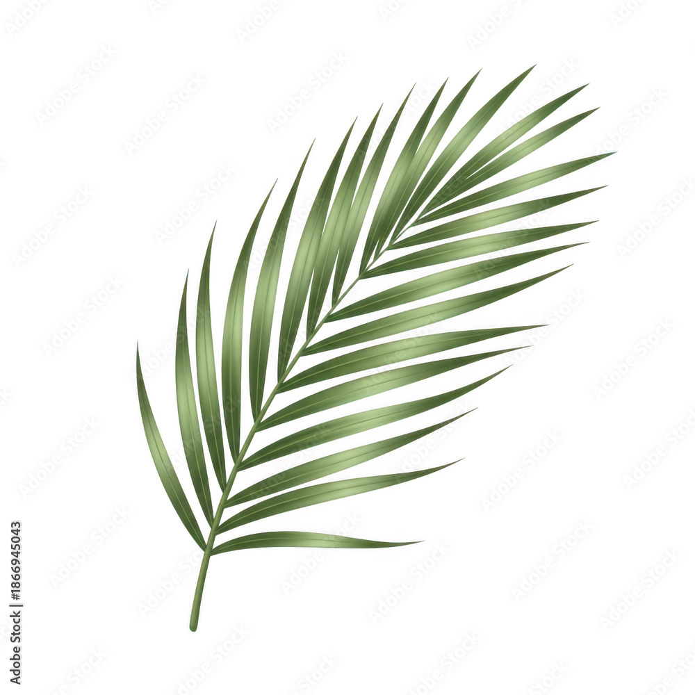 Obraz premium Single palm leaf 