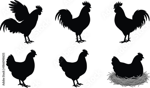Chicken silhouette icon set, rooster and hen graphics, nesting bird, farm animal symbols, black vector poultry illustrations