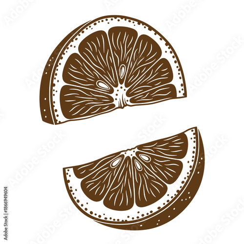 Brown citrus fruit slices with detailed segments and peel on white background  fresh and juicy illustration