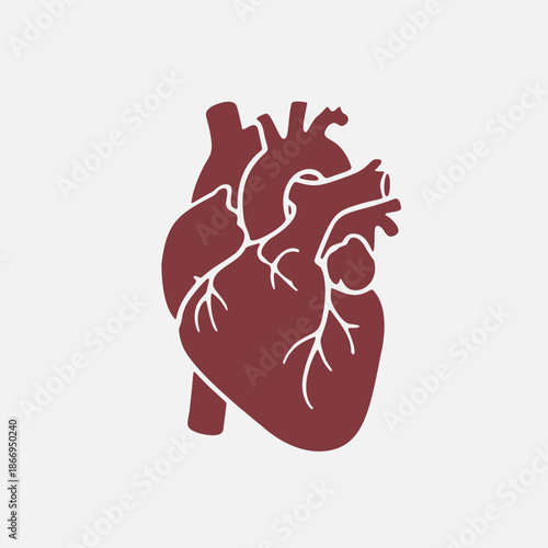Vector illustration of a human heart symbolizing health, cardiology, and medical science