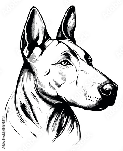 Hand drawn line art illustration of a German shepherd dog head depicting an alert profile for pet care concepts