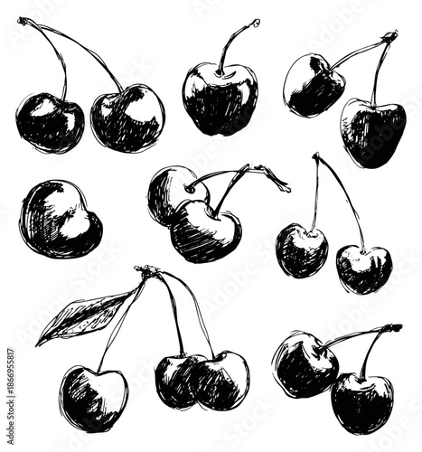 Hand drawn line art cherry set featuring multiple fresh berries with stems and a leaf for healthy food and graphic design