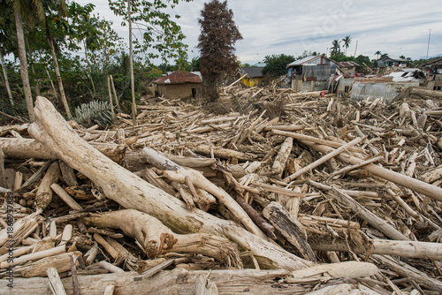 Flash Flood Aftermath: Neighborhood Destroyed by Massive Log Debris