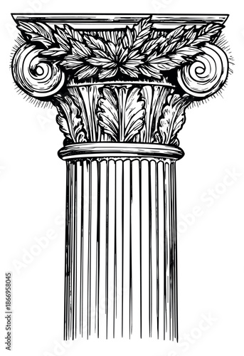 Hand drawn line art illustration of a classical column depicting a detailed capital with acanthus leaves and volutes for architecture and design
