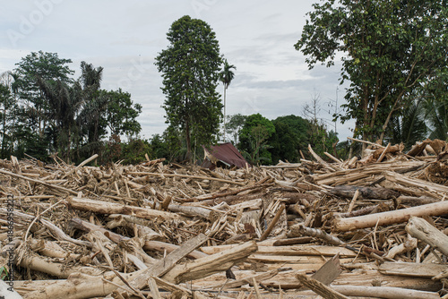 Flash Flood Aftermath: Neighborhood Destroyed by Massive Log Debris