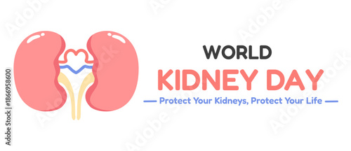 World Kidney Day banner with healthy human kidney illustration. Promotes kidney health awareness, disease prevention, and healthy lifestyle. Medical awareness campaign poster. Flat vector illustration