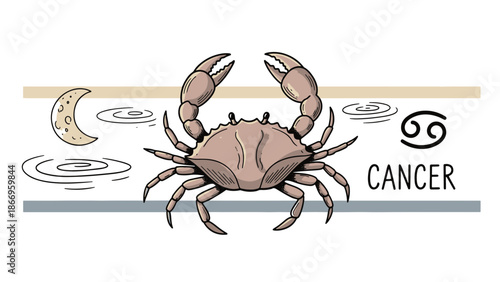 Hand-drawn Cancer Zodiac illustration depicting a graceful crab, crescent moon, and water ripples, symbolizing celestial astrology