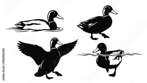 Four black duck silhouettes in different swimming and flying poses on a white background.