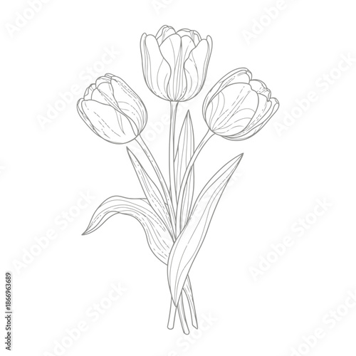 Black and white tulip flowers bouquet illustration