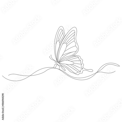 A beautiful butterfly with wings spread wide on a wavy line