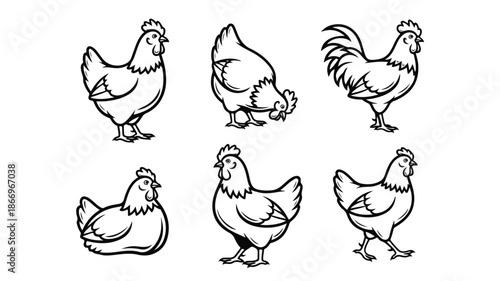 A set of six black and white line drawings of chickens and a rooster in various poses against a clean white background.