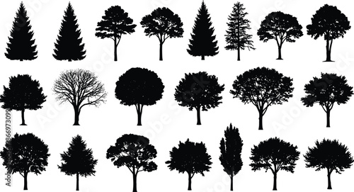 Silhouette collection of various forest trees, pine, oak, and deciduous plants, nature set, cad drawing flat vector illustration for landscape