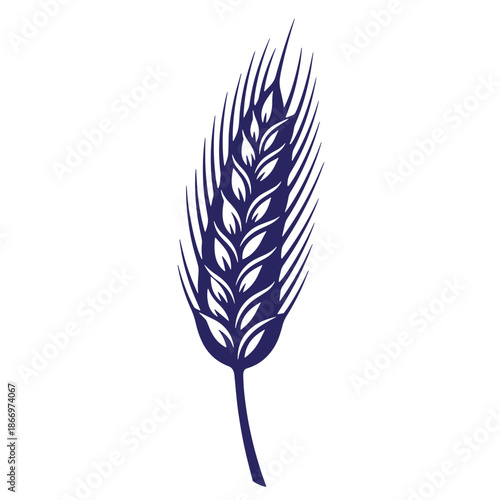 Blue wheat ear illustration on white background