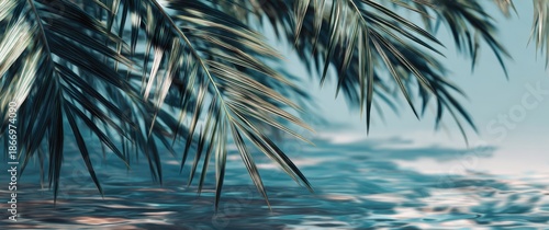 Blurred palm tree leaf shadow on a water background with copy space for text. Abstract blue banner