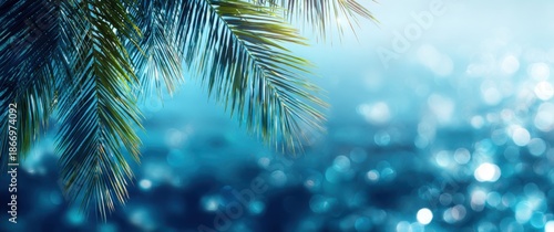 Blurred palm tree leaf shadow on a water background with copy space for text. Abstract blue banner