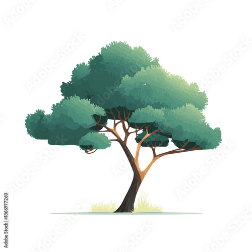 2D flat vector illustration of Juniper Tree, designed in a clean icon style and isolated on a white background.