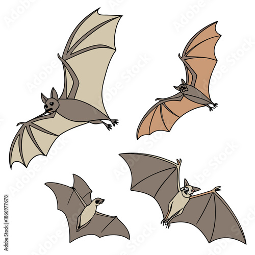 Illustration of bats flying