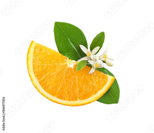 Orange Slice with Blossom and Leaves