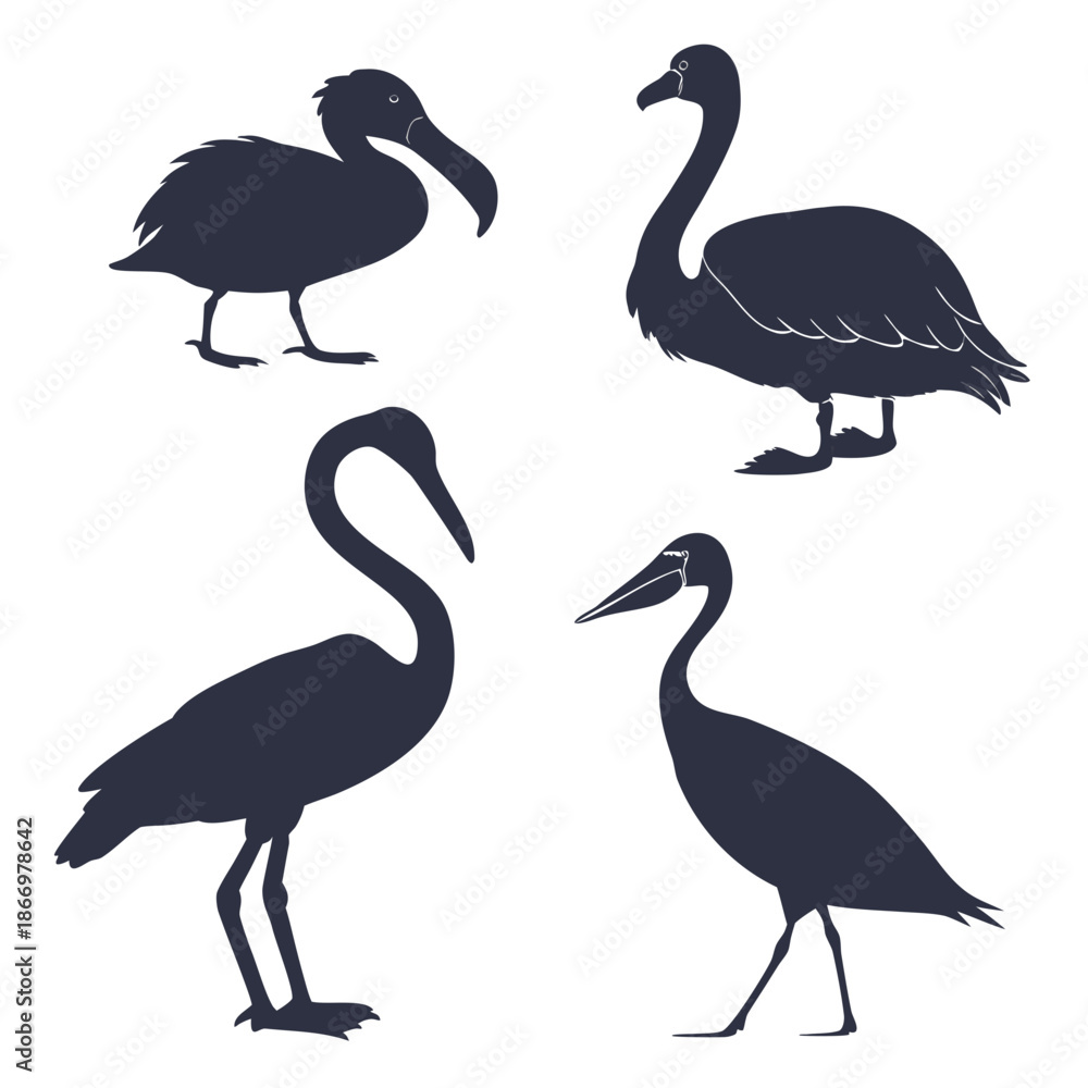 Fototapeta premium Collection of bird silhouettes