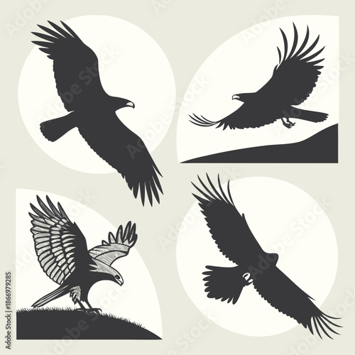 Silhouettes of eagles in flight