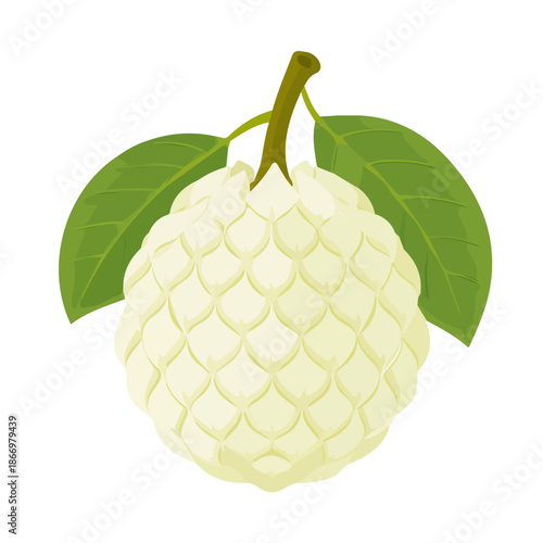 2D flat vector illustration of Custard Apple, designed in a clean icon style and isolated on a white background.