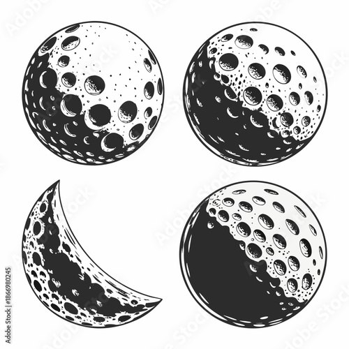 Phases of the moon illustration