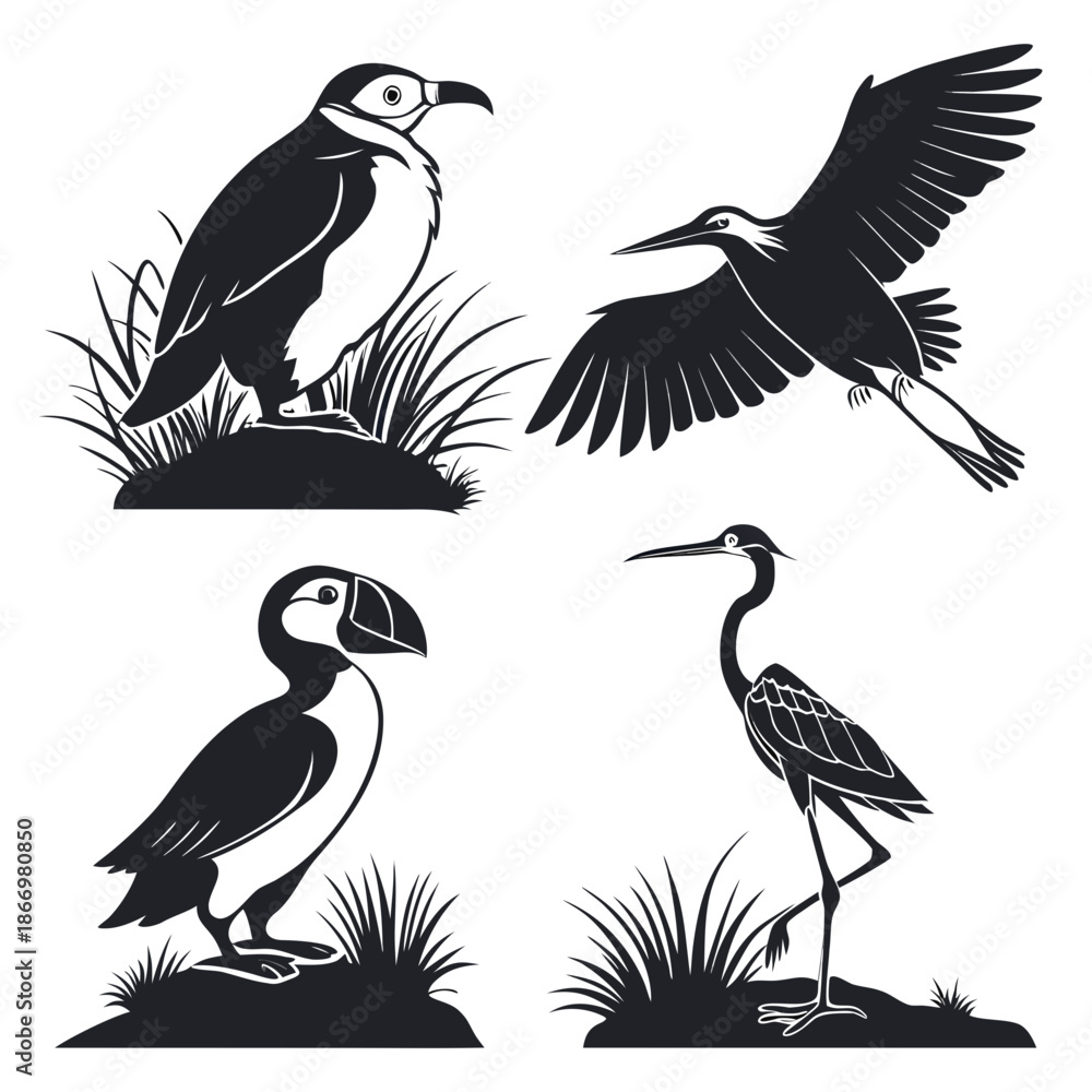 Obraz premium Silhouettes of various birds