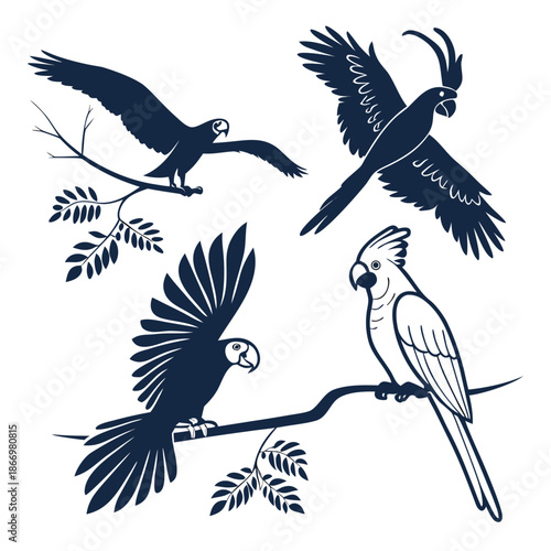 Illustrations of parrots in various poses