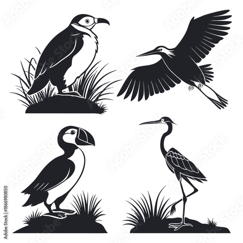 Silhouettes of various birds