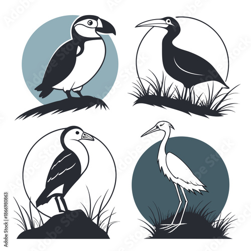 Collection of bird silhouettes