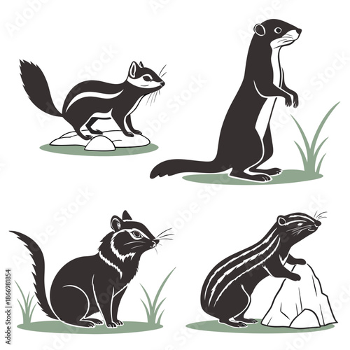 Four different squirrel silhouettes