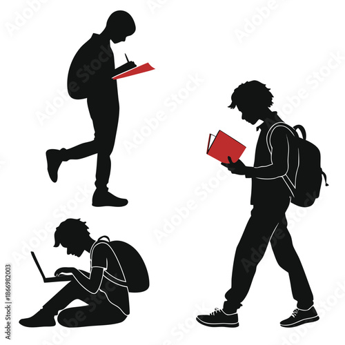 Students engaged in study activities