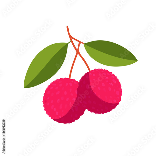 Simple flat 2D vector graphic of Lychee, modern icon look, displayed on a pure white background.