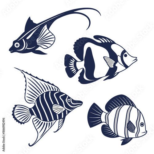 Four colorful tropical fish
