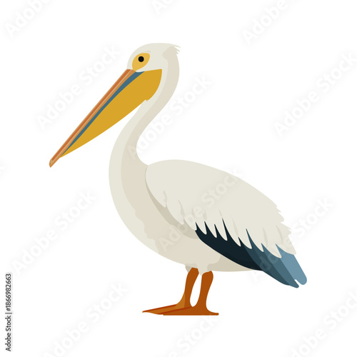 Pelican, modern 2D flat vector illustration in icon style, isolated on pure white background.