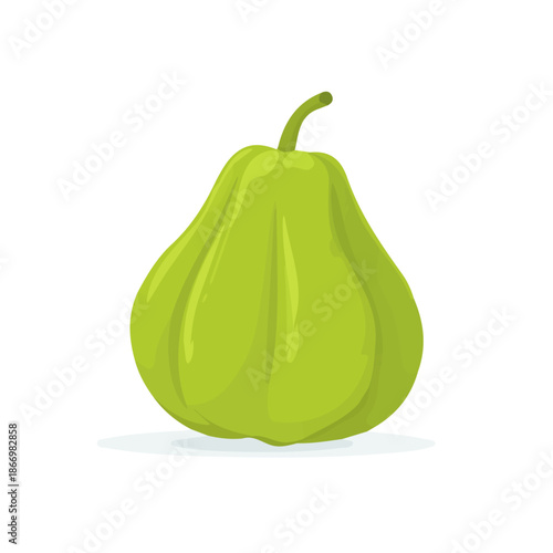 Chayote, modern 2D flat vector illustration in icon style, isolated on pure white background.