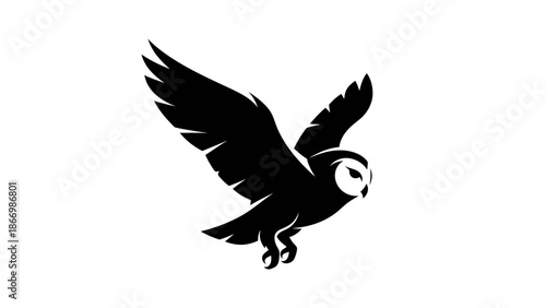 Majestic barn owl in flight with wings spread wide.