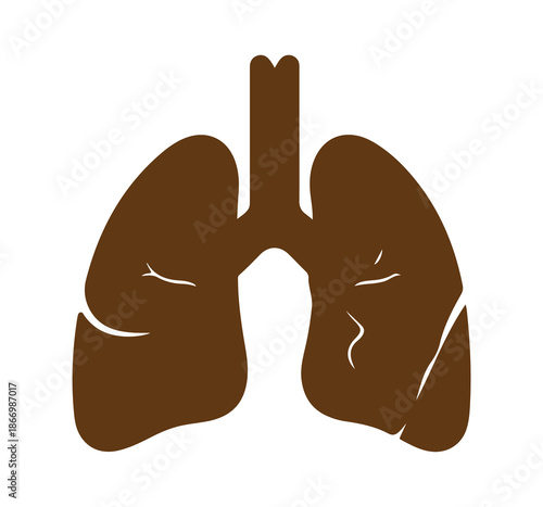 Pure transparent background with subtle gradient and soft shadow effect