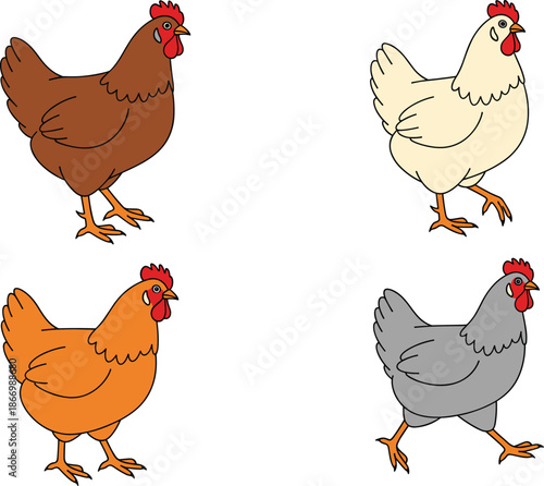 Chicken hen set illustration isolated on white background, farm poultry animals in different colors