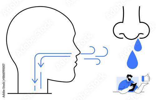 Healthcare, respiratory system, nasal function, sinus health, allergy awareness, medical education. Outline of airflow, nose mucus drop person using smartphone. Respiratory system and nasal