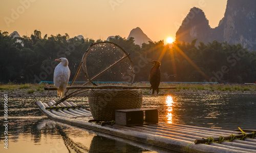 Εκτύπωση καμβά Cormorants on wooden raft in Xingping at Sunset, Yangshuo