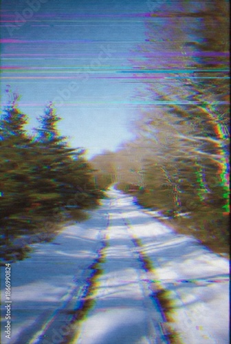 sunset in the forest VHS-effect