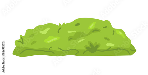 Green mossy rock